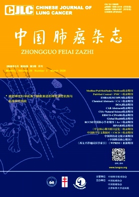 中国肺癌封面